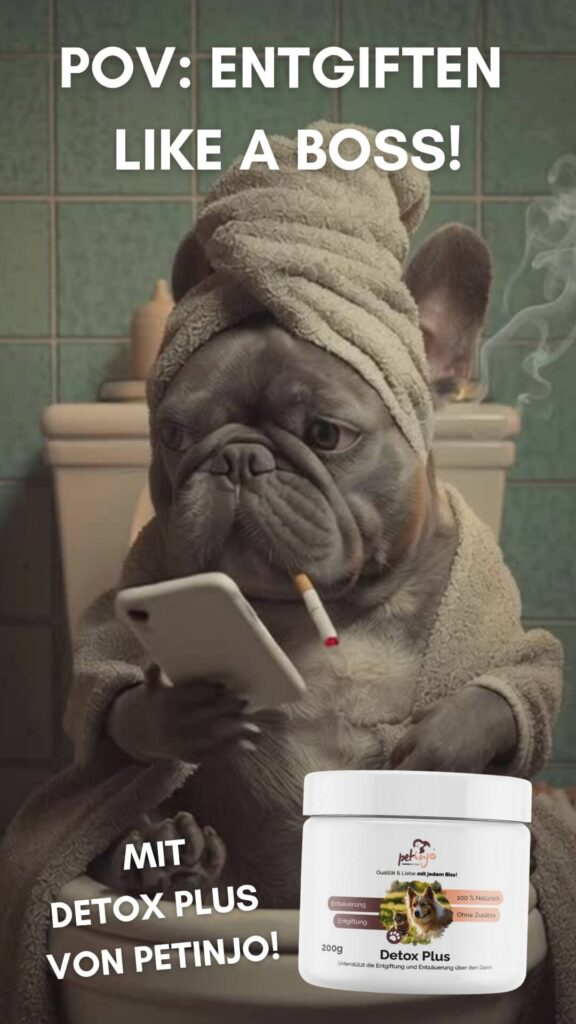 Werbebanner für das Hunde-Detox-Produkt von PETinjo zur natürlichen Entgiftung und Unterstützung der Hundegesundheit.