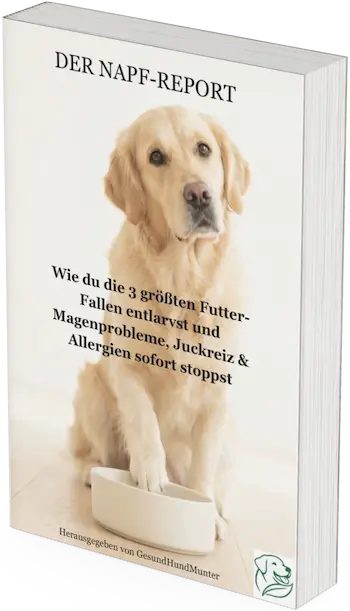 3D-Cover des Gratis-Ratgebers 'Der Napf-Report' über gesunde Hundeernährung