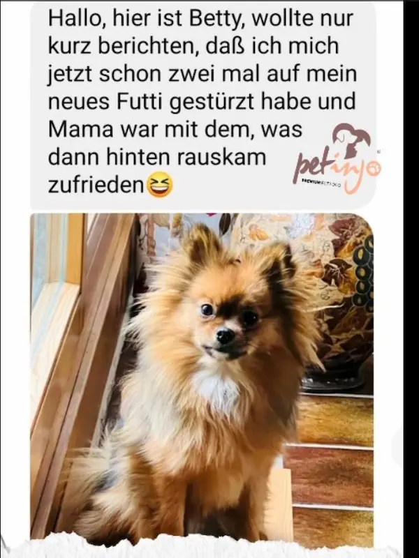 Kundenfeedback zur Darmkur