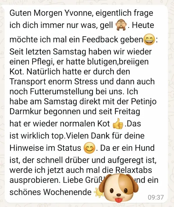 Kundenfeedback zur PETinjo Darmkur