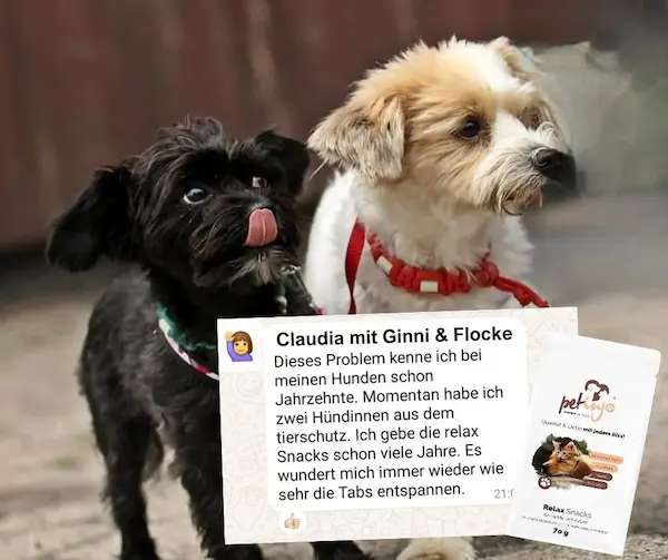 Kundenfeedback zu den PETinjo Relax Tabs
